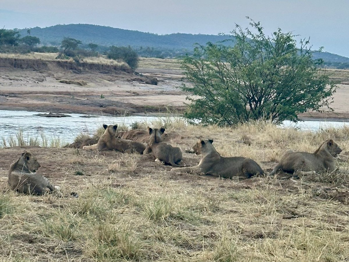 Buffalo Springs National Reserve