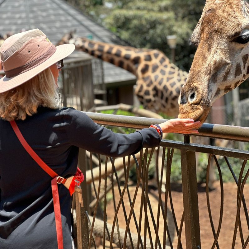 Giraffe center2
