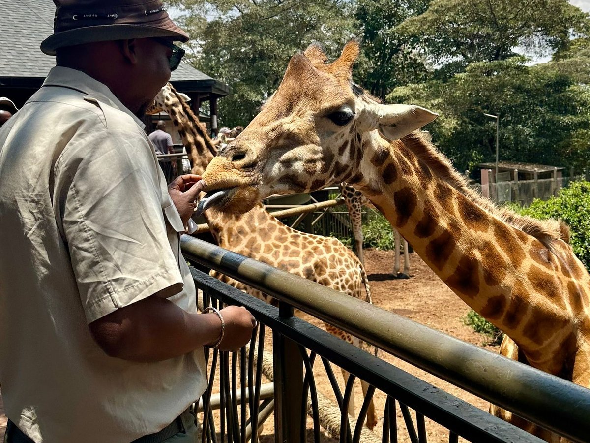 Nairobi City Tour — Giraffe Centre & Karen Blixen