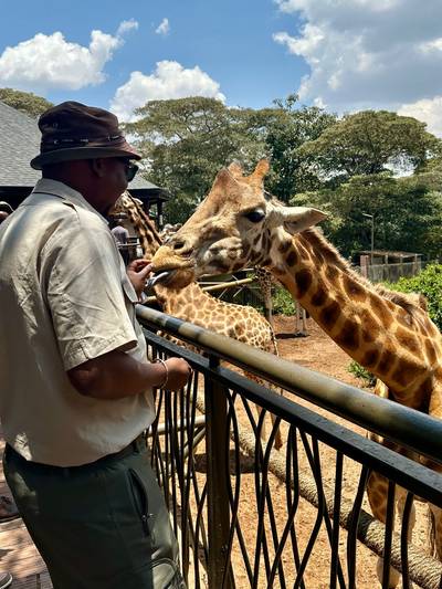 Giraffe center