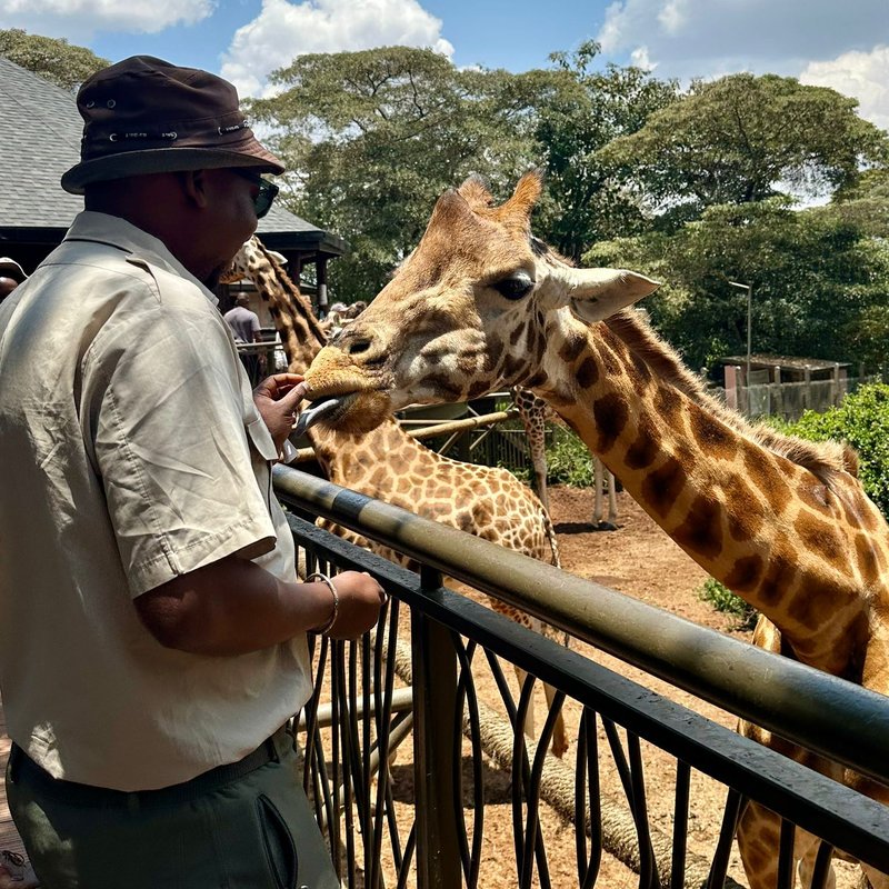 Kenya Family Safari (kid-friendly) — 6 Days