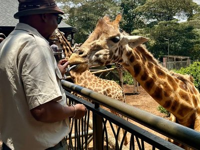 Giraffe center