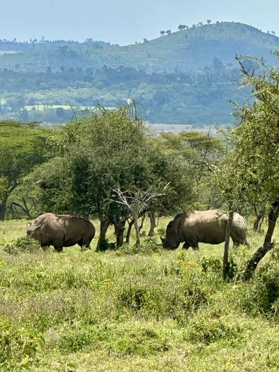 Lake Nakuru