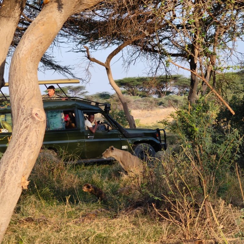 Samburu culture1