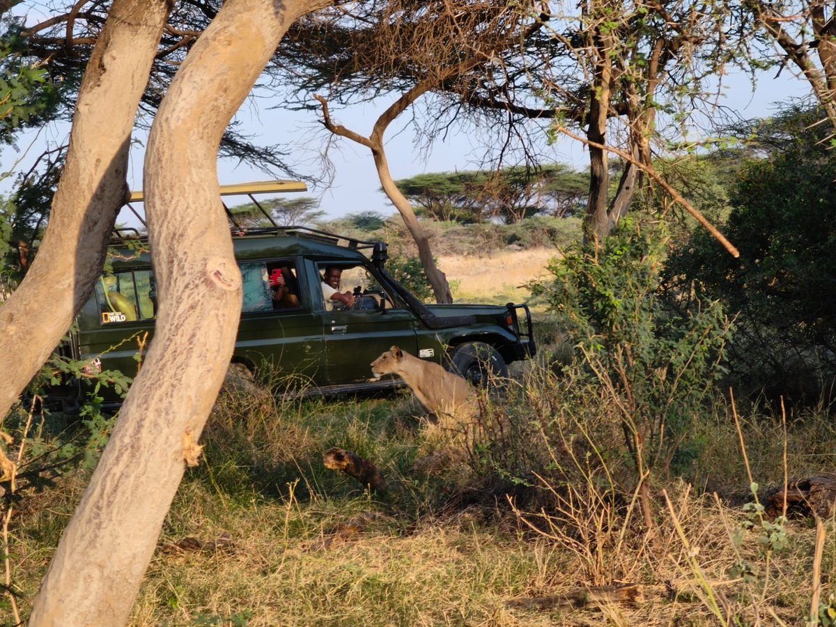 Samburu National Reserve