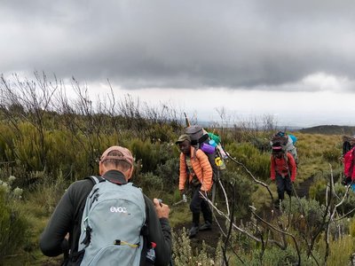 mountkenya4